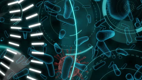 animation of 5g written over scopes scanning and coronavirus cells spreading on black background.