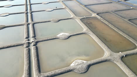 Upward-Tilt-Reveal-Close-view-at-the-Salt-Marshes-of-Guérande-Sections