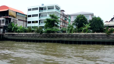 pleasant view of river bank filled with trees and greenery