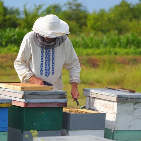 beekeeper collects honey at apiary. man dressed in protective white uniform. summer garden background. apiary on fresh air