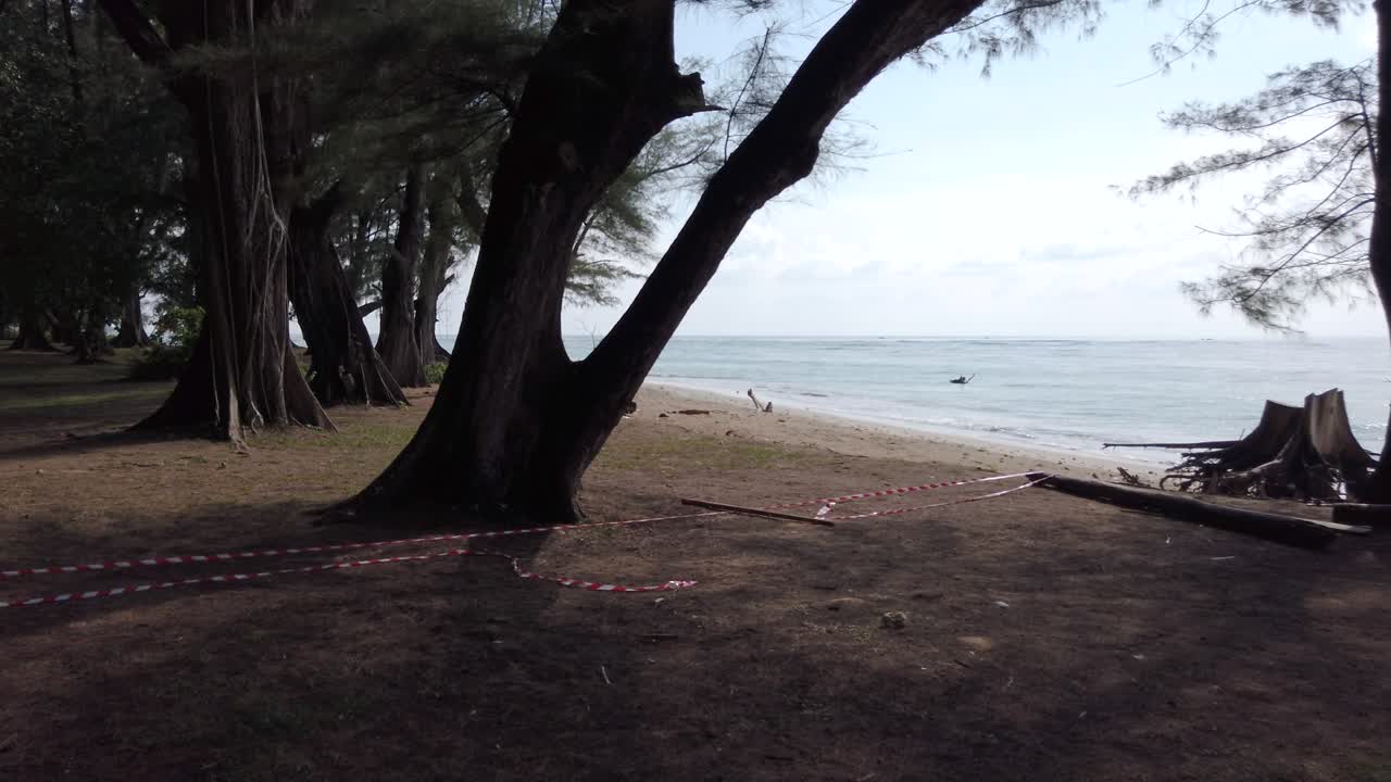 vista del paisaje del parque verde cerca del mar con paisaje de playa de arena blanca en el soleado día de verano en phuket, tailandia, con pino de mar en primer plano mientras camina a través de video it-4k uhd