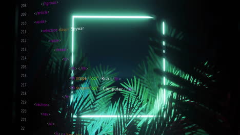 neon square frame and coding animation over tropical plants background