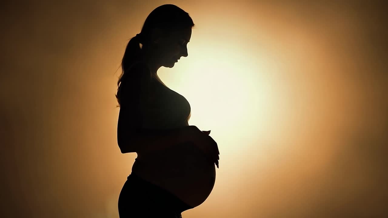 어머니와 사랑을 상징하는 반이는 배경에 배를 부드럽게 만지는 임신한 여성의 실루