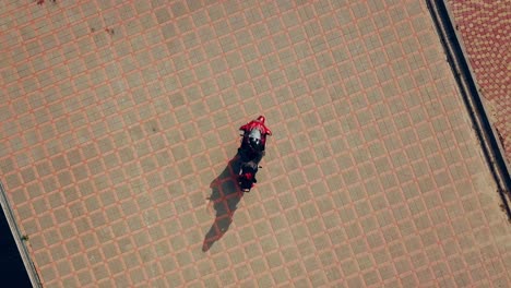 red-haired young woman sitting on a red motorcycle and lying on it over the background of paving tile. camera moves up.