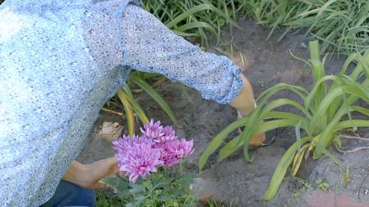 una mujer caucásica adulta feliz haciendo jardinería en un jardín soleado, plantando flores, en cámara lenta