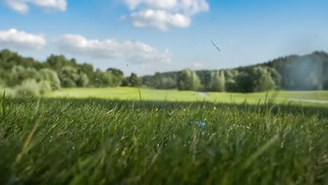 el palo de golf golpea una pelota de golf en una cámara súper lenta. gotas de rocío matutino y partículas de hierba se levantan en el aire después del impacto.