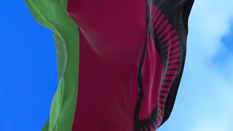 seamless loop of malawi flag.