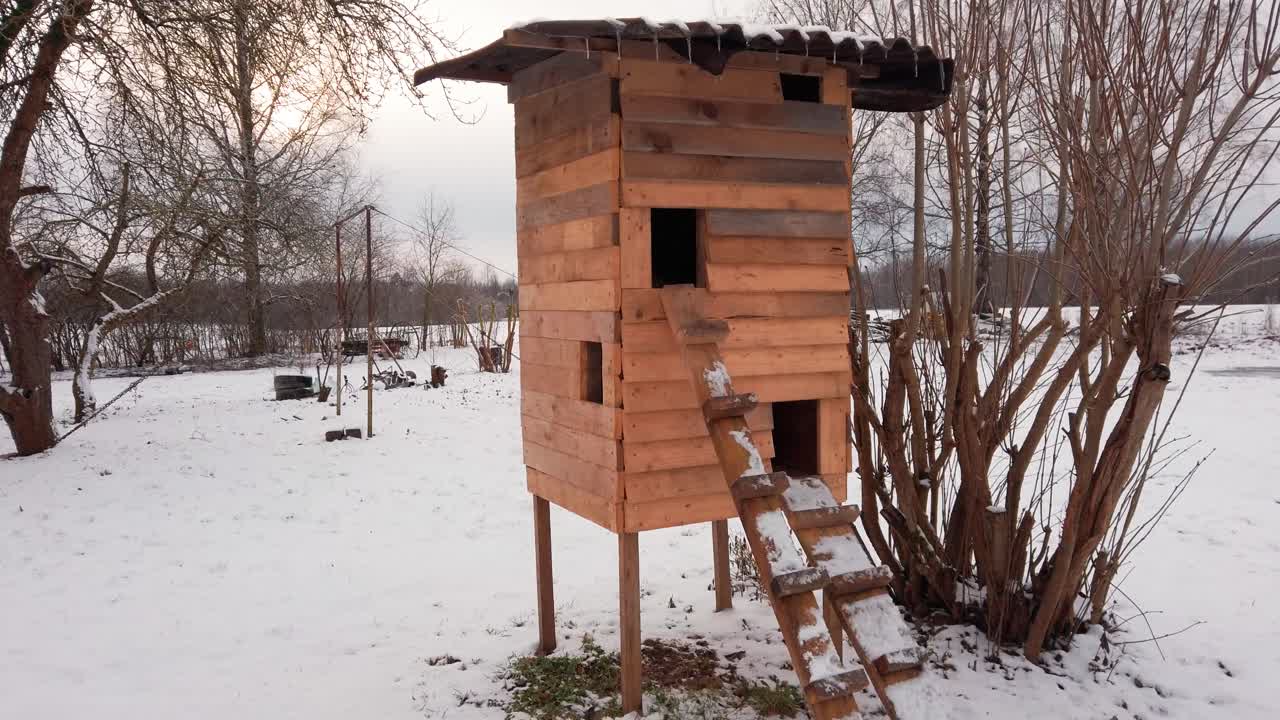 Outdoor multistory wooden cat house, cottage yard during winter, Latvia