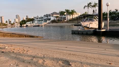 bird flying over a sandy beach near boats