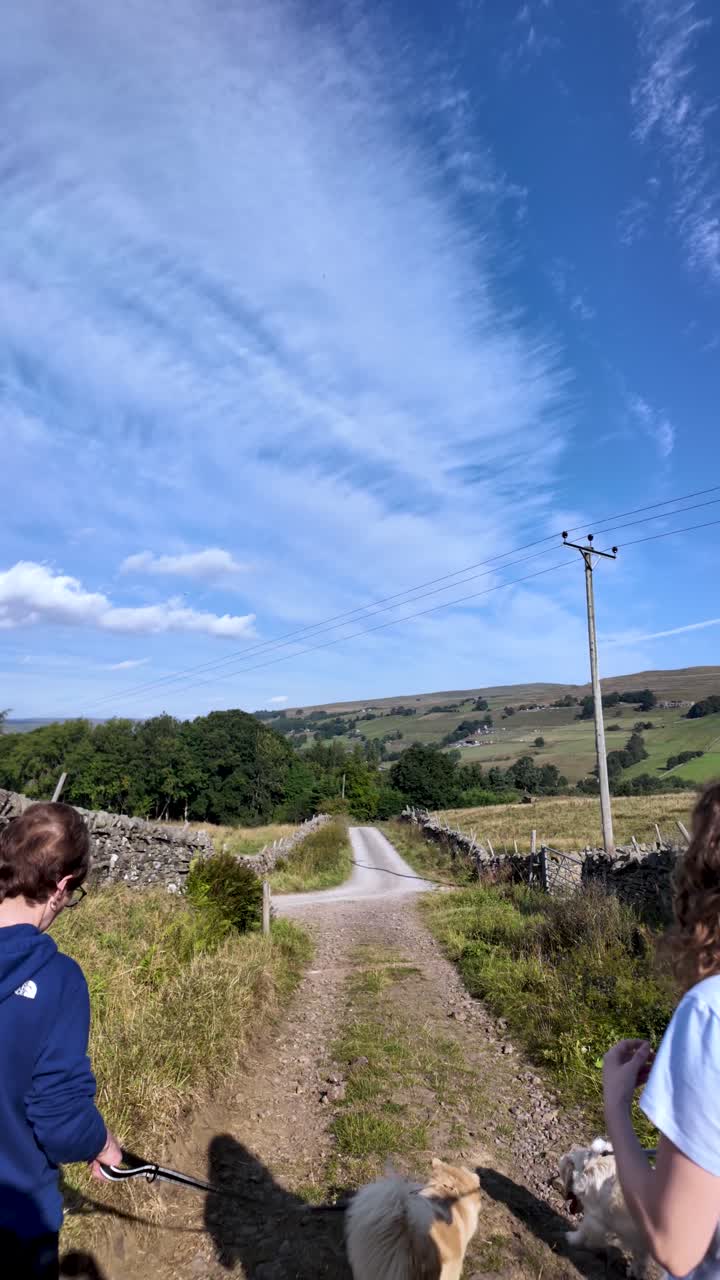 Friends walking dogs along a path in the Weardale countryside. vertical video