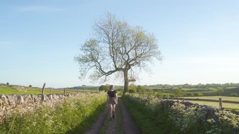 handheld static shot of young blonde woman walking towards the camera along a dirt track in the countryside at sunset