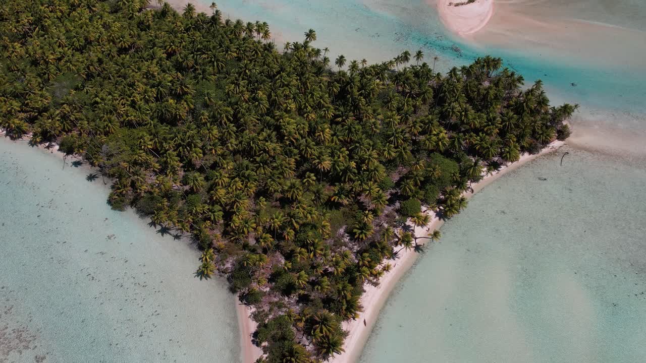 Beautiful Aerial drone shot of an island in the lagoon of the atoll of Fakarava, French Polynesia, south pacific