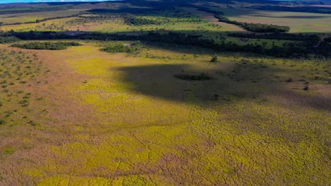 the brazilian savannah dry from deforestation and drought - aerial flyover