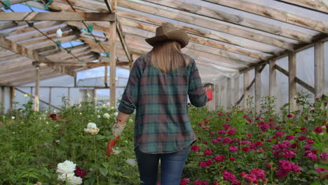 vista de atrás joven agricultora camina en un invernadero de flores y examina las rosas cultivadas negocio de flores