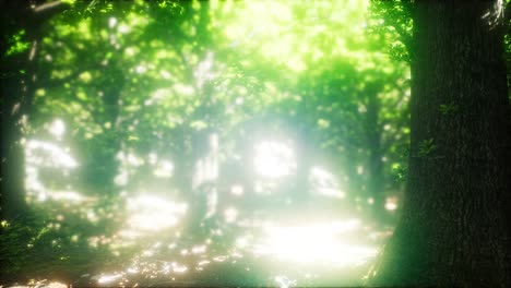 scenic forest of fresh green deciduous trees framed by leaves