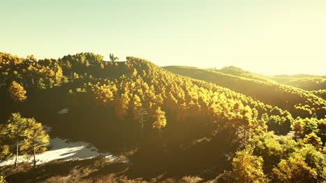 view on autumn forest in mountains and blue sky of switzerland