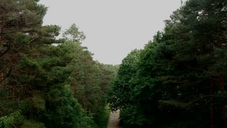 Aerial-Drone-Footage-Of-Long-Forest-Pathway