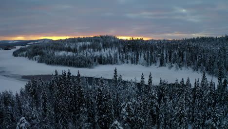 Vista-Aérea-En-órbita-A-Través-De-Las-Copas-De-Los-árboles-De-Los-Bosques-Cubiertos-De-Nieve-Hacia-El-Pintoresco-Amanecer-Dorado-Sobre-El-Horizonte-De-Las-Montañas-De-Laponia