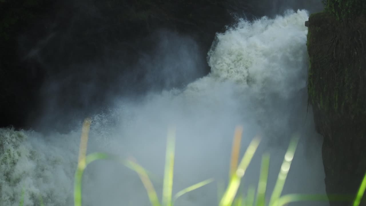 дальний план водопада на реке нил с травинками на переднем плане