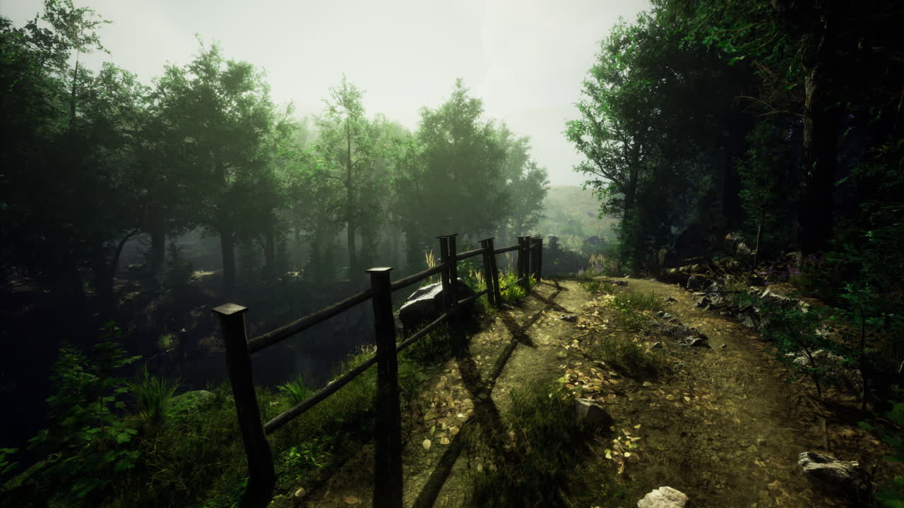 Lush forest trail with dense trees and misty atmosphere during daylight