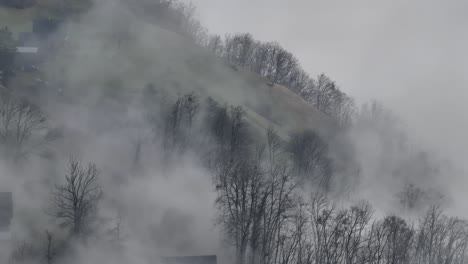 Susurros-Del-Invierno-En-El-Velo-Brumoso-De-Wald,-Suiza