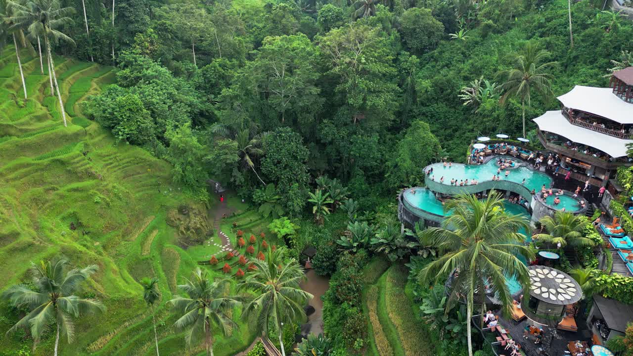 Vista aerea di un locale nella giungla tropicale circondato da fitte palme, piscine a più livelli, vegetazione lungo il fiume, terrazze lounge e sentieri collinari, creando una vivace oasi immersa nel lussureggiante paesaggio di Bali