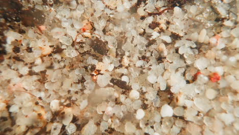el fondo del río con piedras ligeras. la ola lava la suciedad.