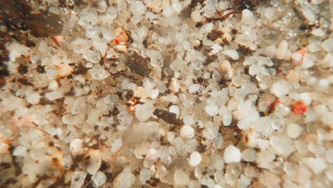 bottom of river with light pebbles. wave washes away dirt