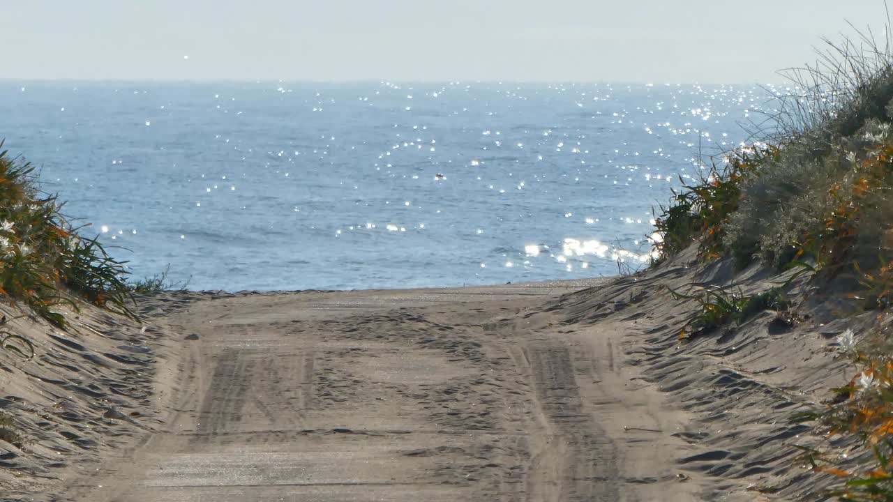 아침 해변의 풍경