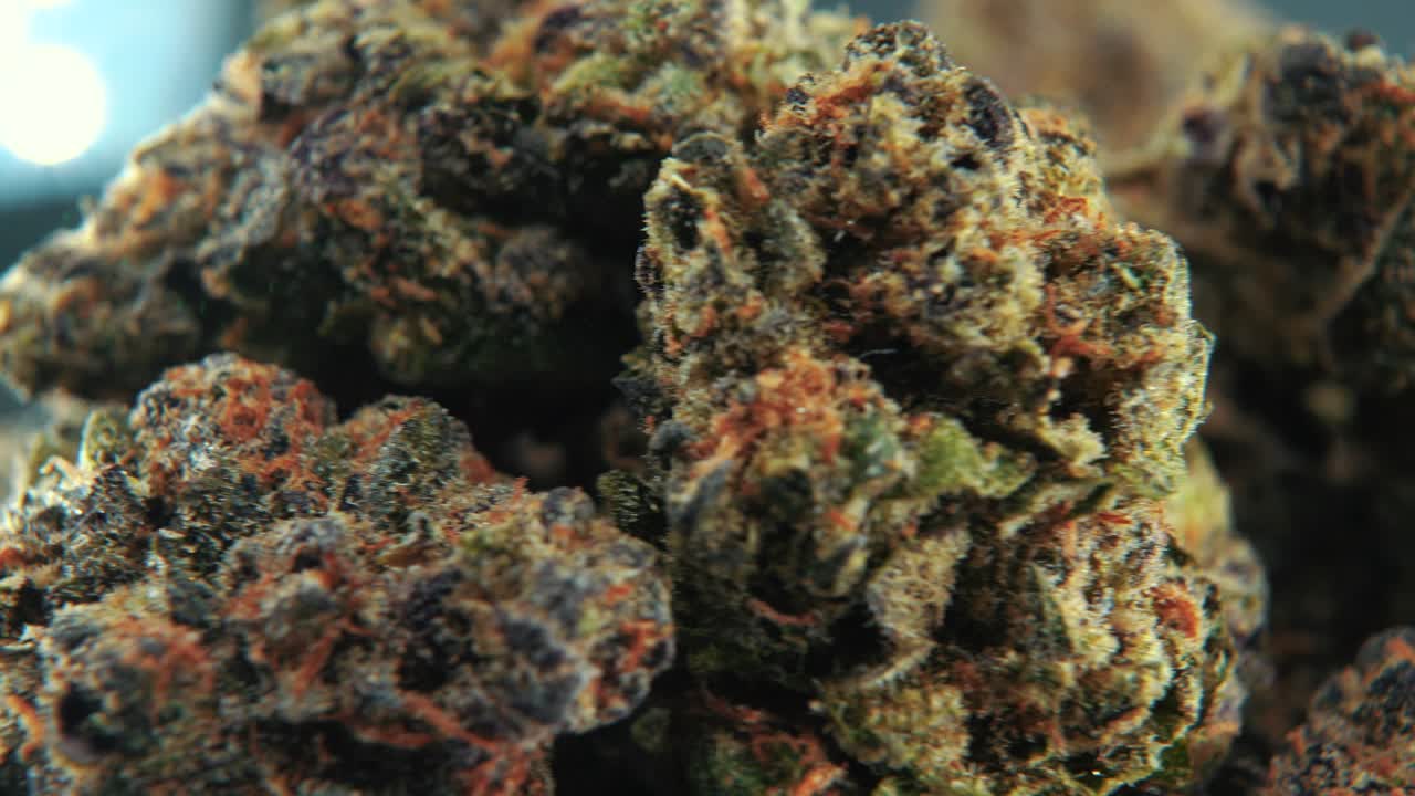 A macro cinematic detailed shot of a cannabis plant, orange hybrid strains, Indica and sativa , purple green marijuana flower, on a rotating stand, slow motion, 4K, professional studio lighting