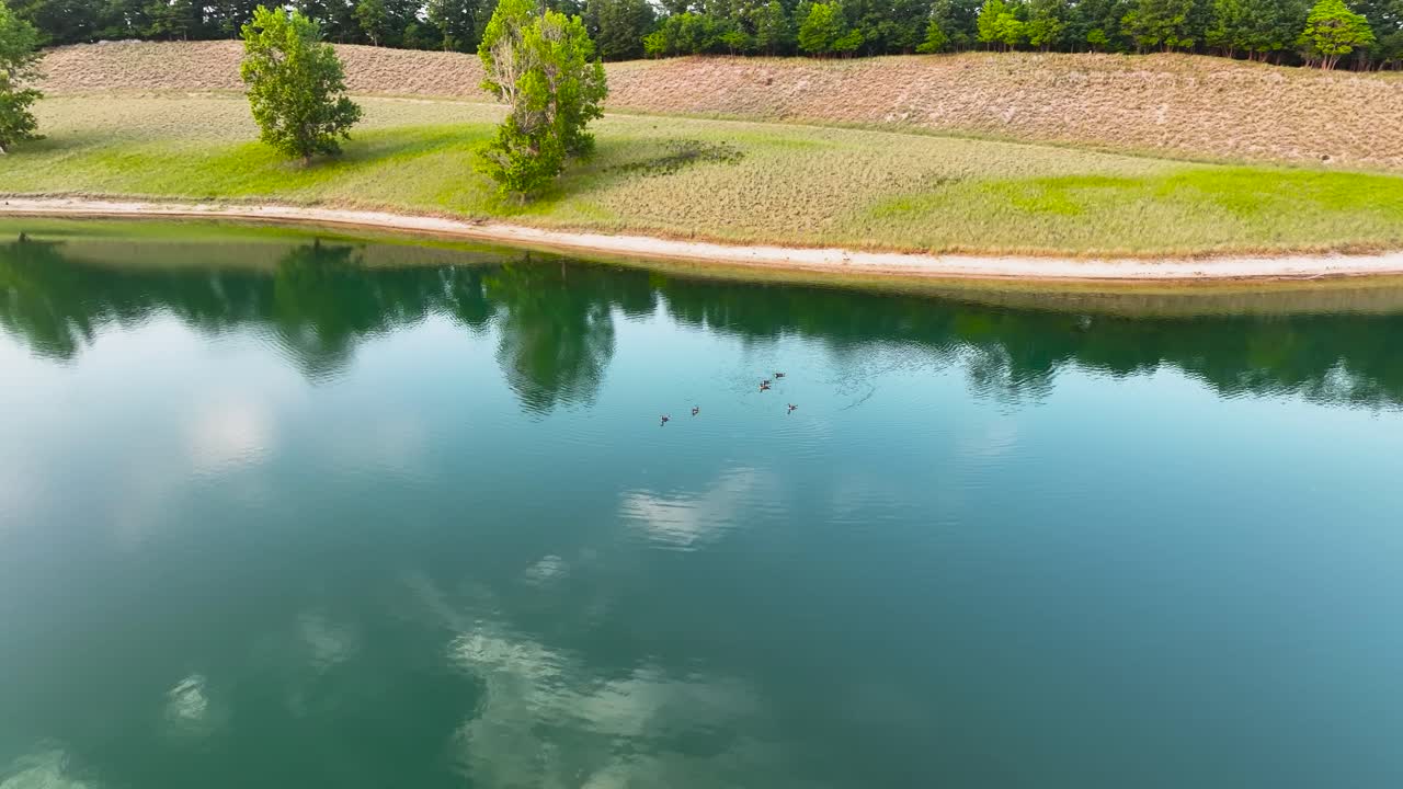 해가 지기 시작 할 때 저녁 일찍 헤엄치는 물새