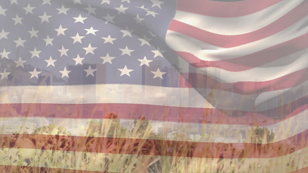 Wind blowing, American flag rippling across tall grasses, revealing faint skyline through stripes