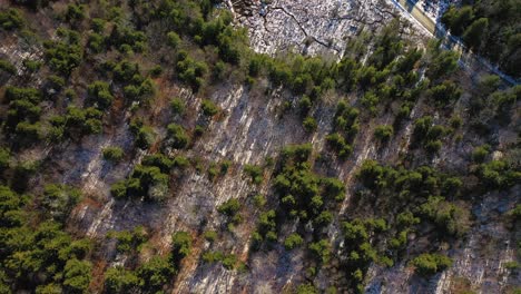 Toma-Aérea-De-Arriba-Hacia-Abajo-De-Un-Bosque-Con-Largas-Sombras-Después-De-Una-Nevada-Tardía