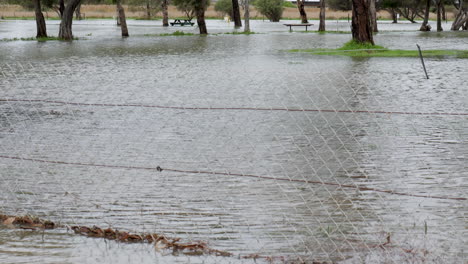 Hochwasser-In-Einem-Vorstadtpark