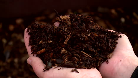 hands holding a pile of wood chips