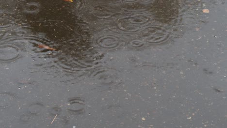 rain drops falling in puddle on city road in rain