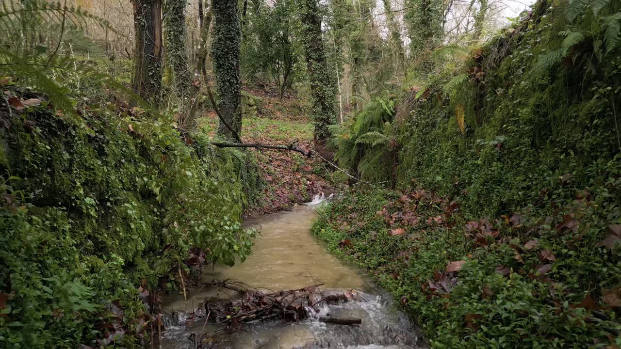 arroyo forestal por antiguas ruinas de piedra - paso aéreo