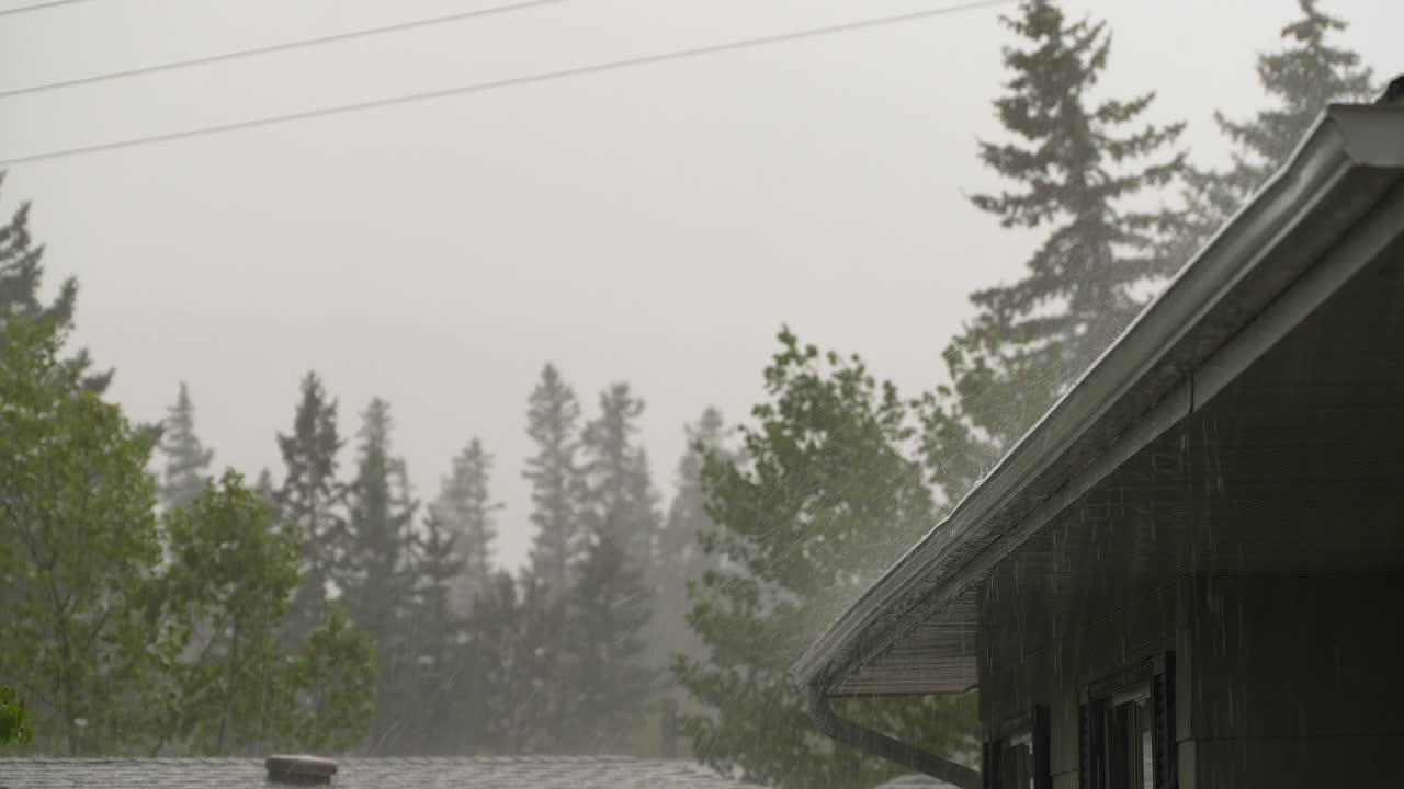 뒷면 에 나무 가 있는 집 지붕 에 우박 과 비 폭풍 이