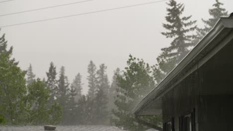 tormenta de granizo y lluvia en el techo de la casa con árboles en el fondo