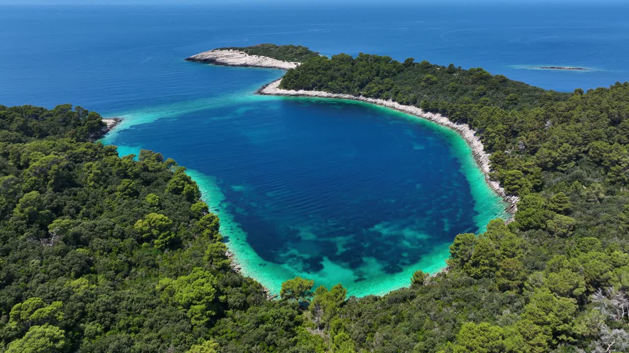 Ripresa aerea panoramica di una laguna colorata e della foresta sull'isola di Mljet in Croazia