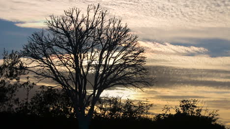 el lapso de tiempo de la puesta de sol de mal humor detrás de las nubes suaves que pasan en el otoño, detrás de un hermoso árbol sin hojas