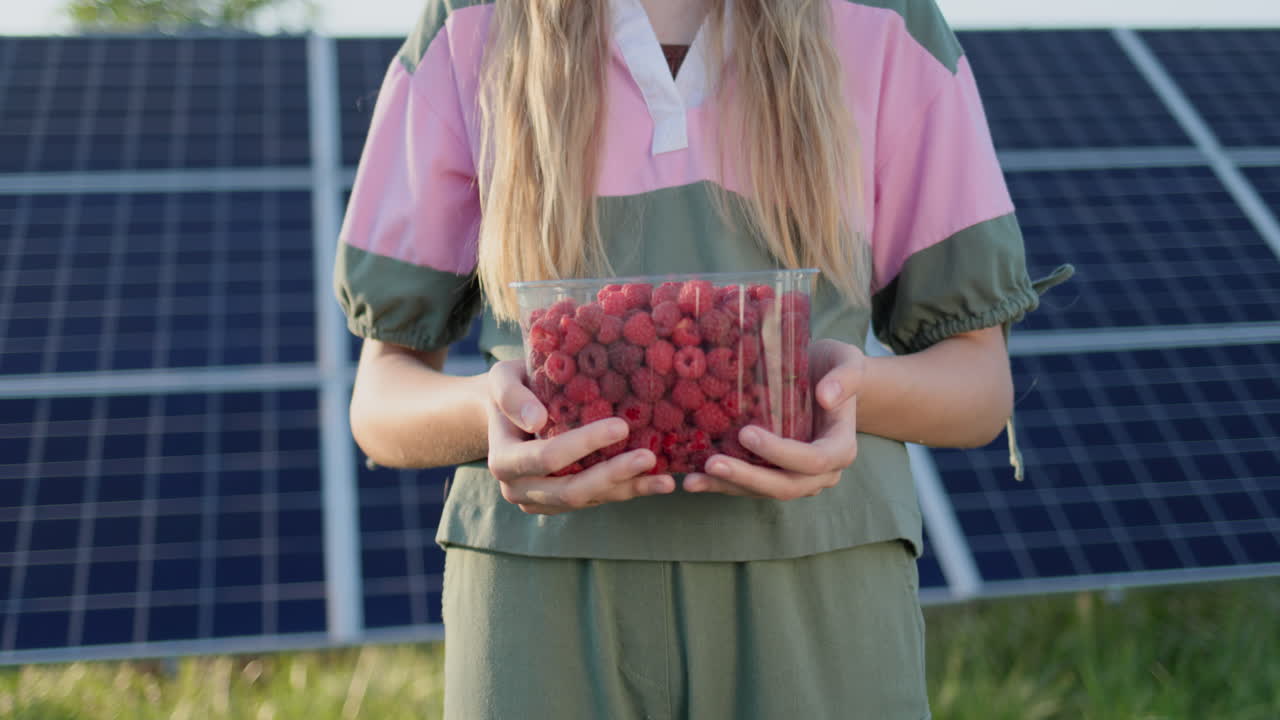 십대 소녀는 신선한 라즈베리를 가진 플라스틱 용기를 들고 있습니다. 태양광 발전소의 패널은 배경에서 볼 수 있습니다.