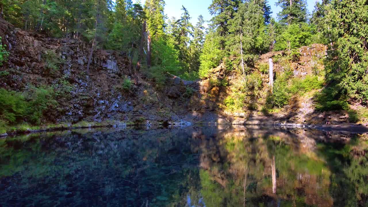 Alpine lake aerial revealing endless green forest 4k 60fps frame rate