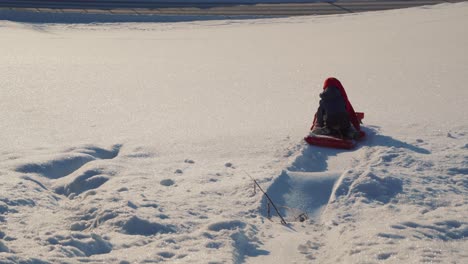 a little boy plays sleigh on a christmas day in winter in norway