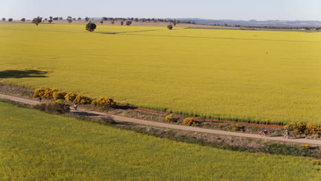 Antenne-Einer-Großen-Gruppe-Von-Radfahrern,-Die-Auf-Unbefestigten-Straßen-Im-Ländlichen-Australien-Fahren