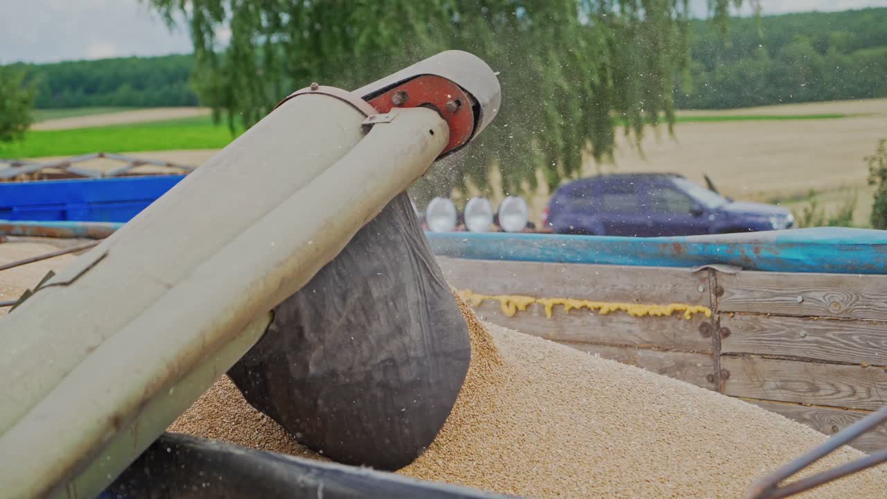 Grain harvesting equipment in the field. Harvest time. Agricultural sector