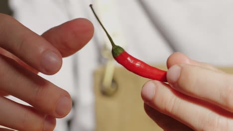 chef holding a chili pepper