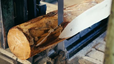 sawmill cutting