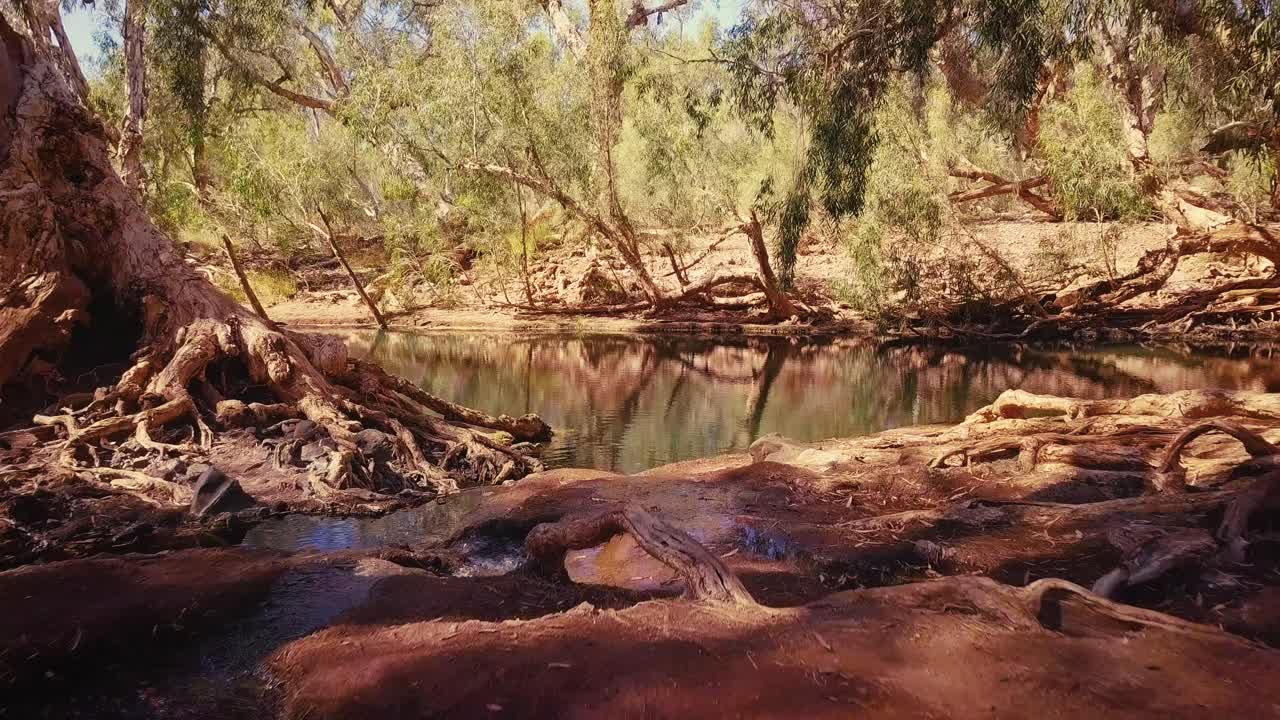un dron aéreo volando a través del oasis desértico australiano del río billabong