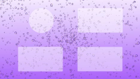 bubble fancy end card ending screen motion graphics